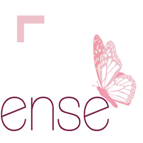 Logotype E Vanes'Sense Photographie
