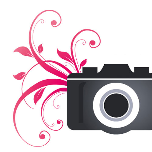 Logotype Instants Volés Photography