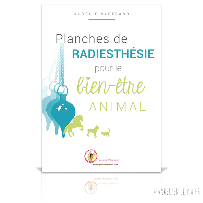 eBook Radiesthésie