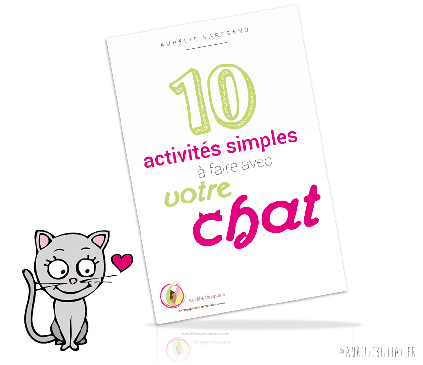 eBook 10 activités simples à faire avec votre chat