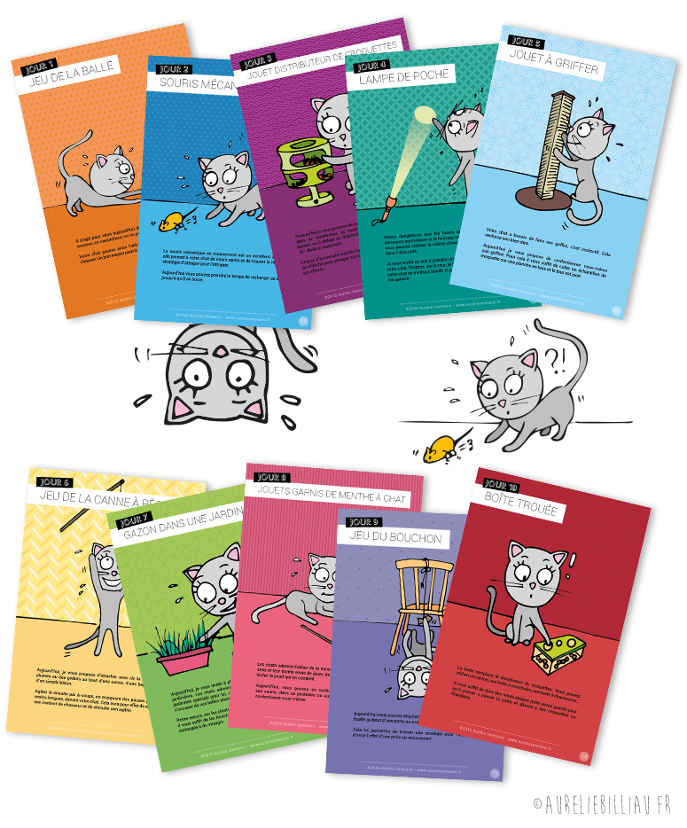 eBook 10 activités simples à faire avec votre chat