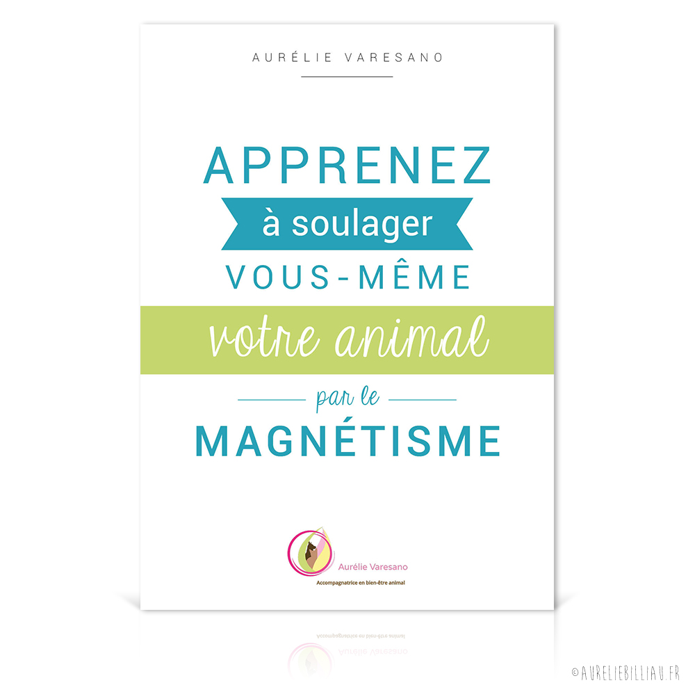 eBook Magnétisme
