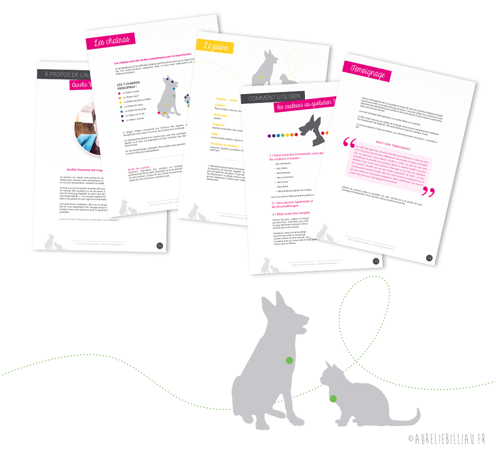 eBook Soulager votre animal par les couleurs