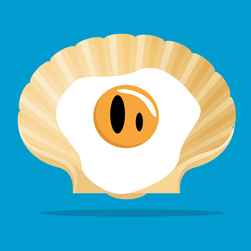 Une coquille d'oeuf