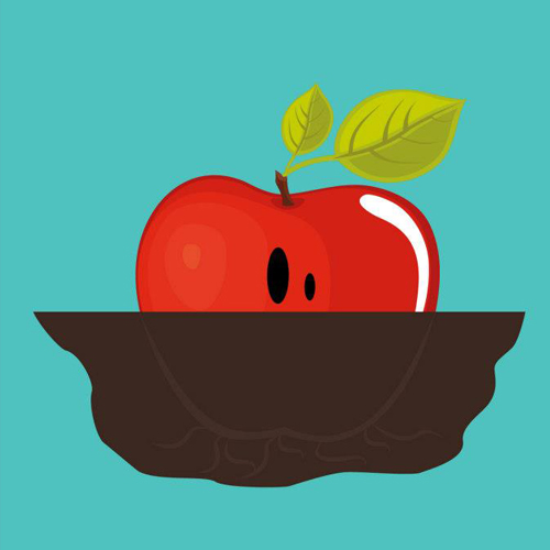 Une pomme de terre