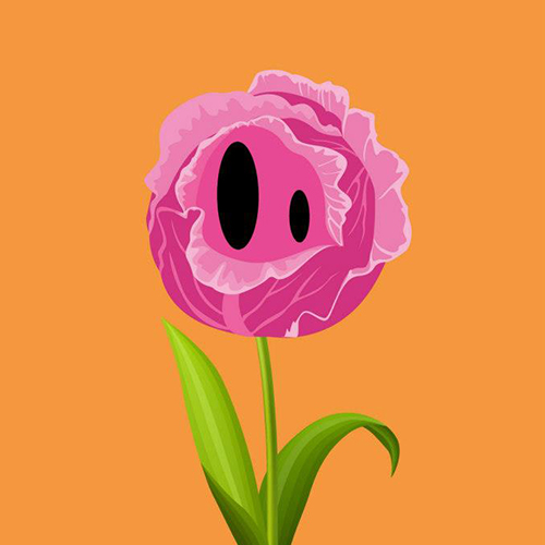 Un chou-fleur