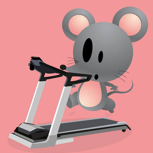 Un tapis de souris