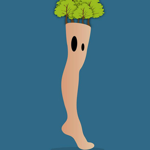 Une jambe de bois