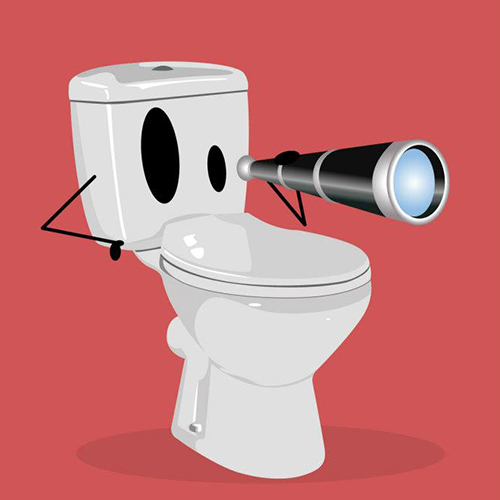 Une lunette de toilette