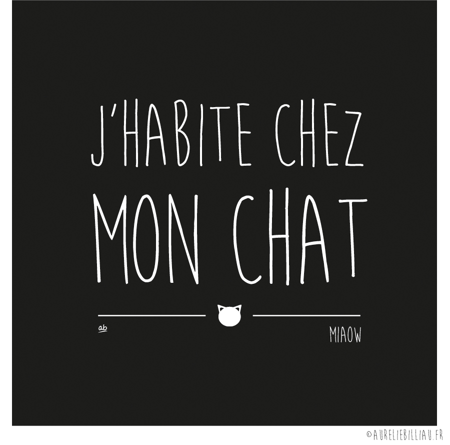 Design J'habite chez mon chat