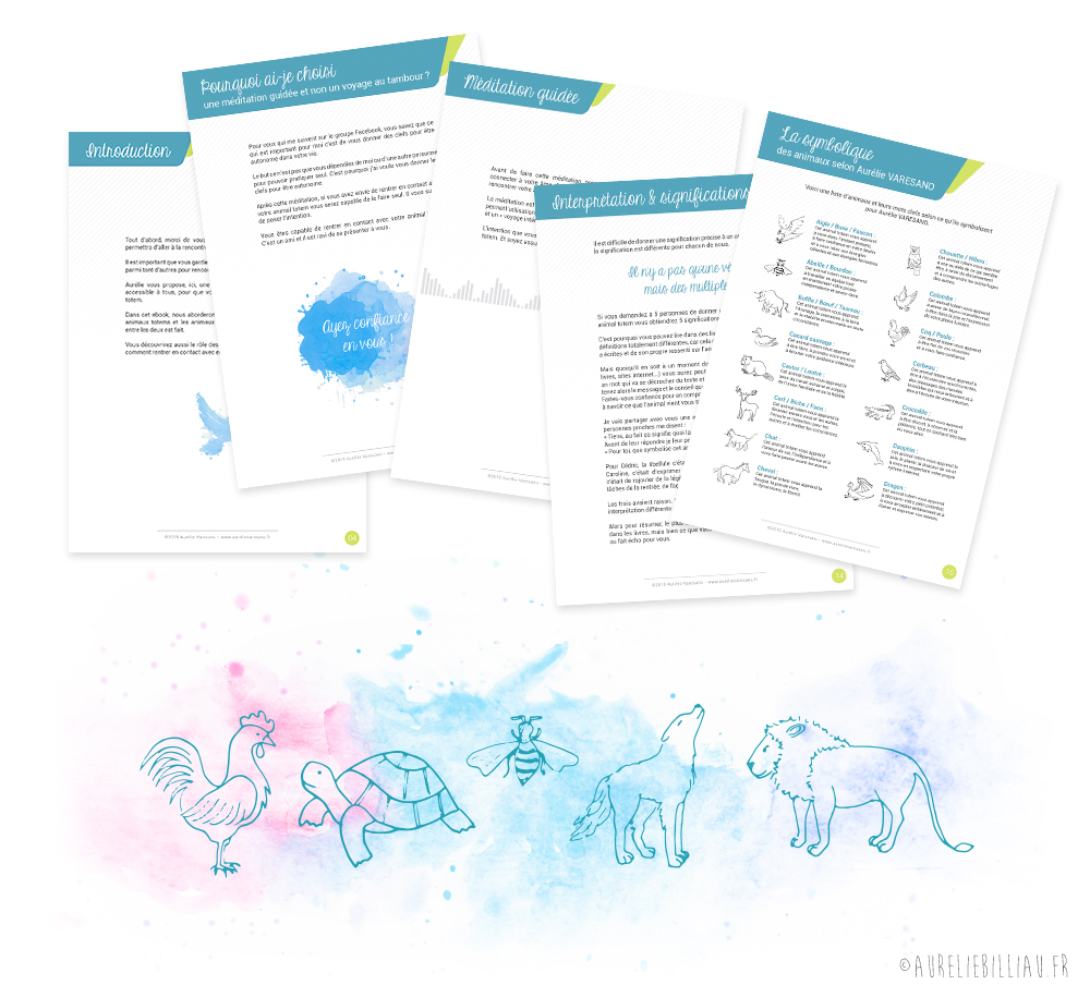 ebook Allez à la rencontre de votre animal totem