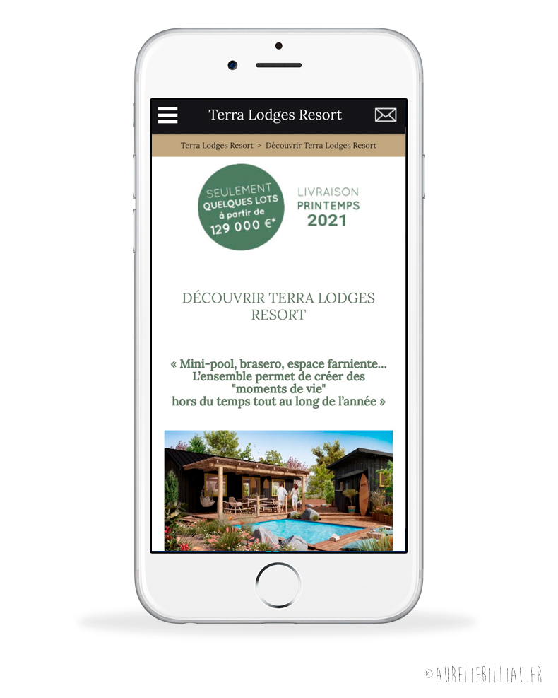 Webdesign Terra Lodges Resort
