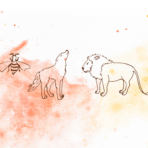 eBook - Va à la rencontre de ton animal totem