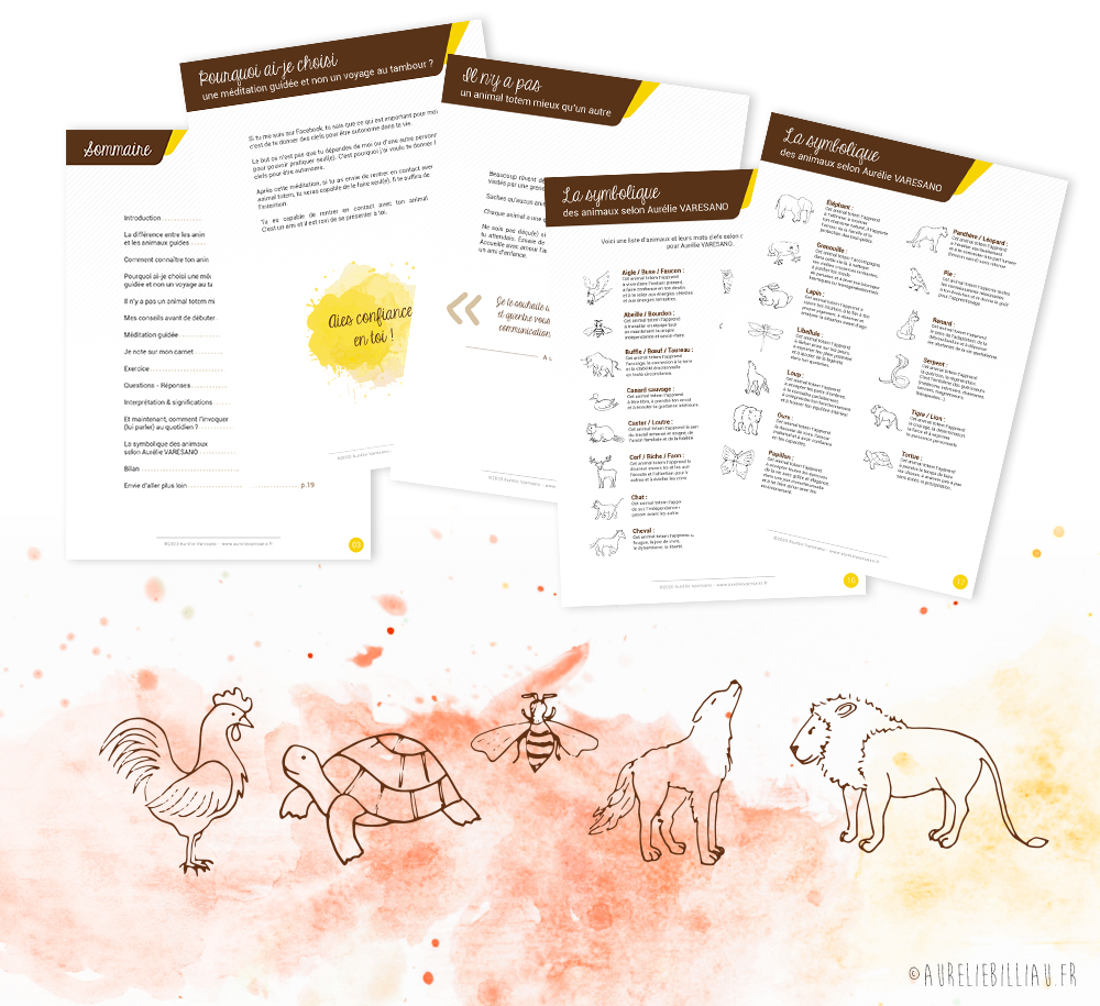 eBook - Va à la rencontre de ton animal totem